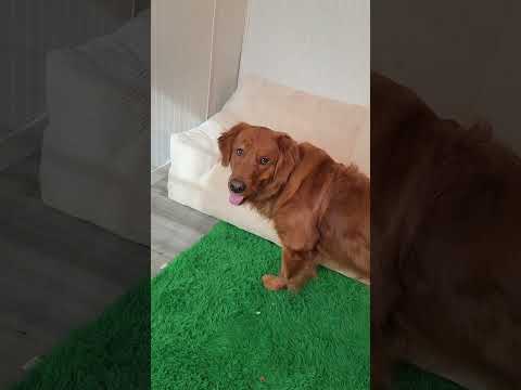 Is it possible? サムネイル