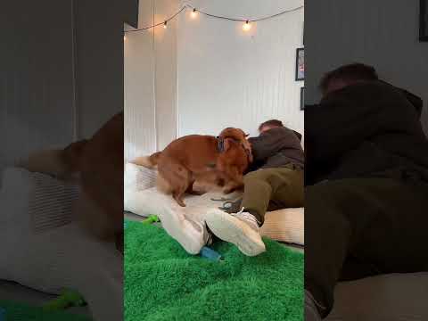 It had to be done 😂 サムネイル