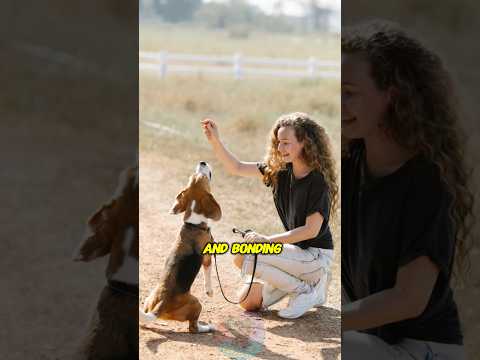 The Art of Training and Bonding With Your Puppy shorts dog… サムネイル