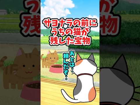 虹の橋に行く少し前、うちの猫は大切な存在を連れてきてくれた　　 【2ch泣けるスレ】 2ch  感動する話   泣ける… サムネイル