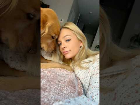 coming home to my golden retriever🥵 goldenretreiver dog ind… サムネイル
