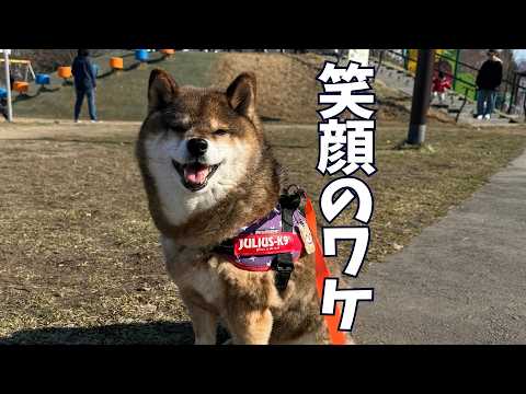 春はじまりました。 サムネイル