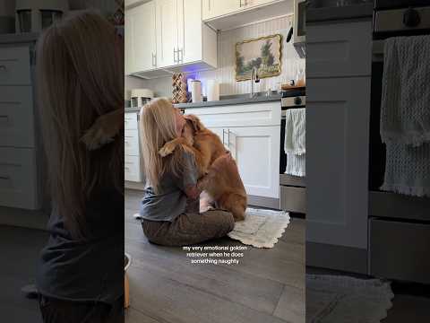 Bikini Try-On Haul | 4K Transparent Lingerie & See-Through… サムネイル