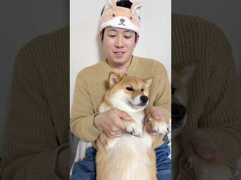 今日は金曜日。がんばれぇ　柴犬  shorts サムネイル