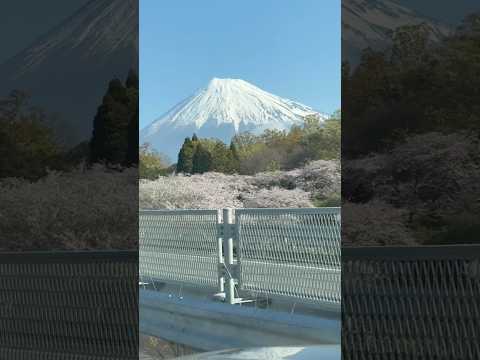 shorts 富士山と雲と桜と🌸　富士市にて　2026年4月3日 サムネイル