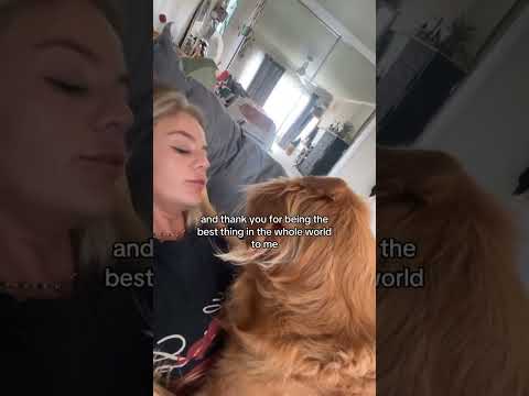 Bikini Try-On Haul 111 :| 4K Transparent Lingerie & See-Thr…