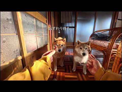 禁断の晩御飯前おやつ サムネイル