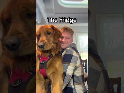 Showing my puppy places he can’t normally see サムネイル