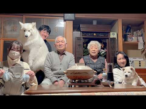 家族みんなと温かく鍋を囲む柴犬とサモエド サムネイル