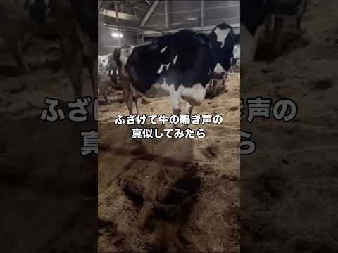 ふざけて牛の真似したら予想外すぎる展開巻き起こった 牛 牧場 牛乳 牛さんありがとう