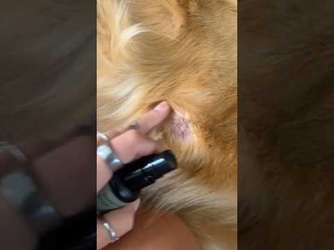 me every 5 minutes bc it decided to tornado in san diegoret… サムネイル