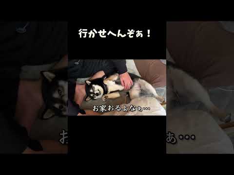 行かせへんぞぁ サムネイル