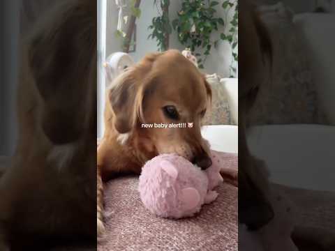 4K Transparent Try-On Haul In this stylish 2025 lookbook we… サムネイル