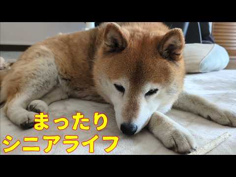 【1098】過去映像：平穏なシニアライフを満喫していた頃 サムネイル