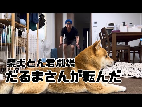 柴犬とん君VSぬし　はたしてどっちが勝つのか！？