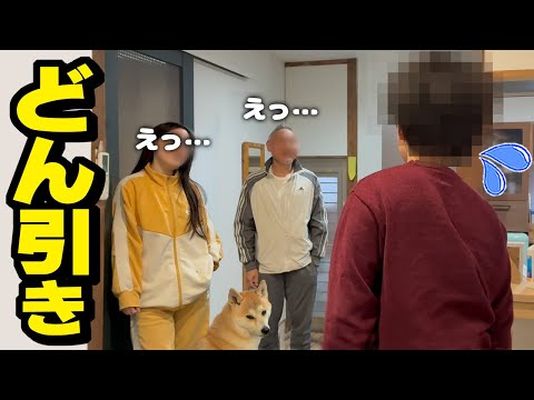 変わり果てた兄にドン引きする柴犬と妹 サムネイル