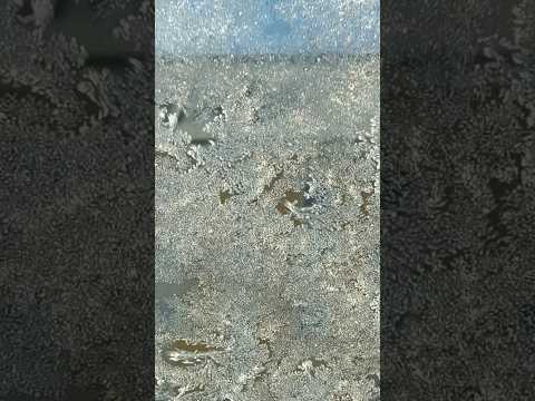 shorts 今朝は車全体が凍った　静岡県内にて　2026年1月24日 サムネイル