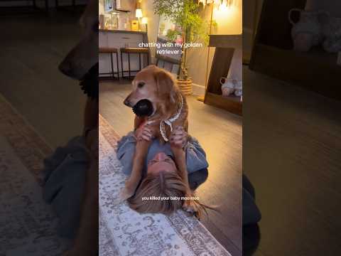 Come to my golden retriever 2026blonde goldenretreiver dogb… サムネイル