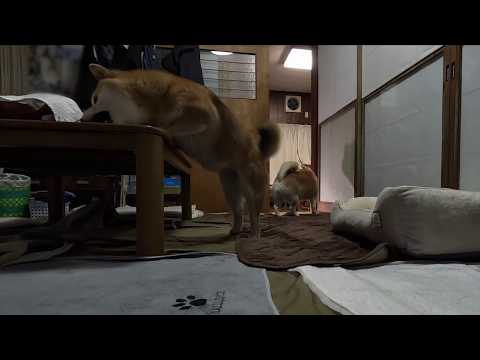 朝のカチコミのご様子 サムネイル