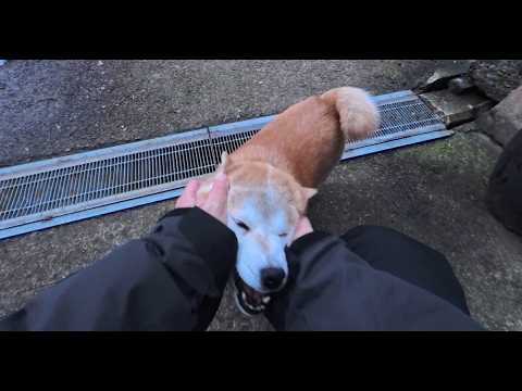 2026年3月9日(月) 朝一番はお顔モチモチされたいモモさん🍞🍞 サムネイル