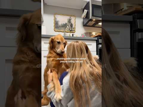 coming home to my golden retriever🥵 goldenretreiver dog ind… サムネイル