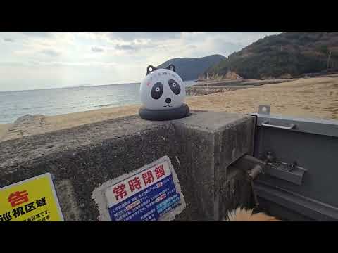 【ビスの術後のご報告】病理検査の結果は問題無しでした。ご心配頂きありがとうございました。 サムネイル