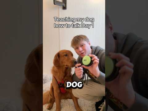 He might be the SMARTEST dog on the internet サムネイル