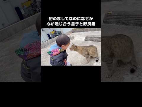 1歳児の息子と散歩してたら人馴れしすぎてる猫ちゃんに遭遇し初めましてとは思えない距離感で近づいてた笑 野良猫 子猫 赤… サムネイル