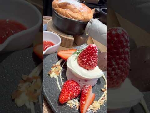 shorts ふわウマ〜😋 静岡紅ほっぺのパンケーキ🥞🍓　茶屋本陣「畔屋」にて　2026年3月21日 サムネイル