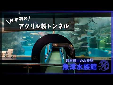 【魚津水族館】現存最古の水族館🐟日本初のアクリル製トンネル✨