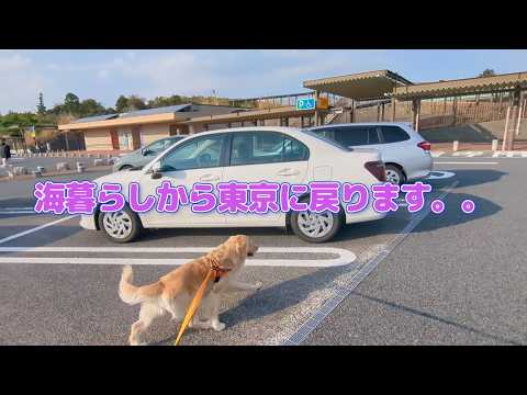 海暮らしから一旦東京へ帰ります。 サムネイル