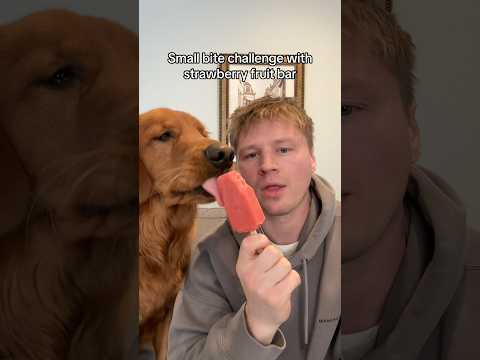 I don’t think he understood 😂 サムネイル