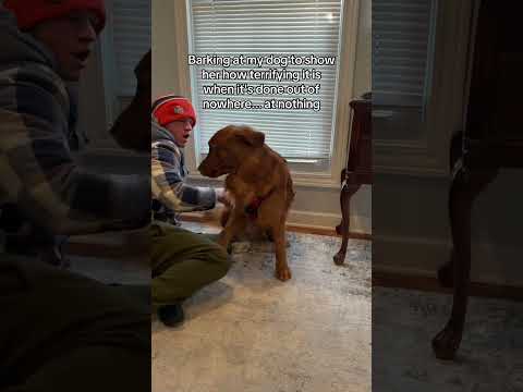 Why did he do the opposite? 😂 サムネイル