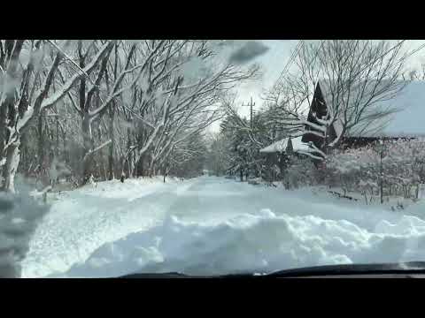 一晩で景色が一転😅　那須高原にて　2026年1月12日 サムネイル