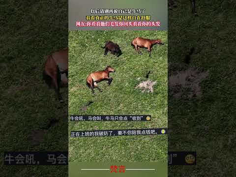 以後請別再說自己是牛馬了 看看真正的牛馬是這樣自在舒服 動物 搞笑 animals funny shorts サムネイル