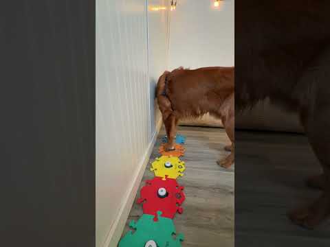 He can’t even look me in the face 🤣 サムネイル