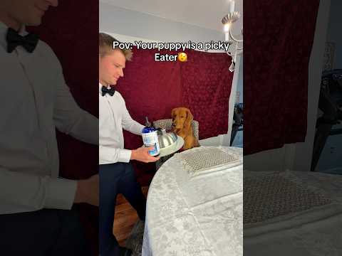 The only way my puppy will eat.. サムネイル