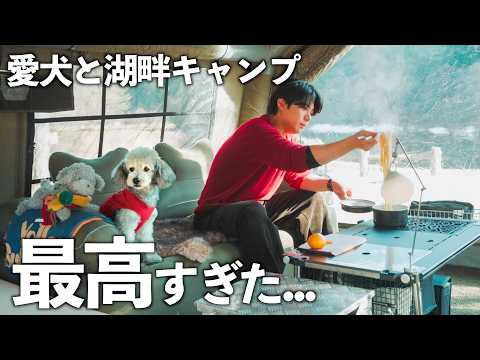 🐶愛犬と湖畔でクリスマスキャンプ｜氷点下3℃でもテントが快適すぎた サムネイル