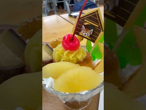 shorts プリンアラふーたを頂きました〜😋　千葉市動物公園にて　2026年7月12日