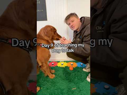 Is he smart? サムネイル