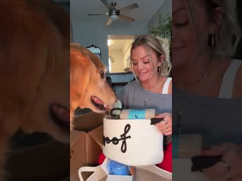 coming home to my golden retriever🥵goldenretreivers dog pup… サムネイル