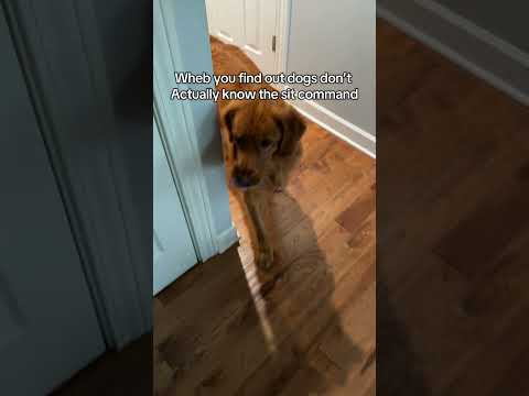 At least he recongnizes legends 😂 サムネイル