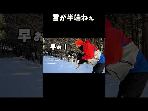 雪が半端ねぇ サムネイル