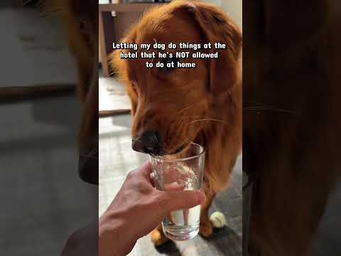 Did I miss anything? サムネイル