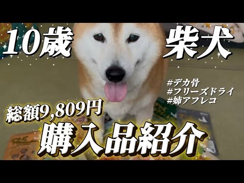 柴犬福 【姉初アフレコ】10歳柴犬の1万円分購入品紹介✨Sister and Shiba Inu-present ti… サムネイル