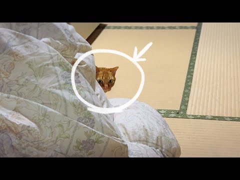 待ち伏せドッキリ練習中の月　Luna Practicing Her Surprise Attack サムネイル