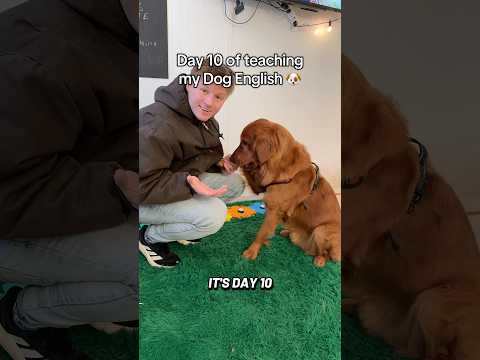 What word should I teach him next?