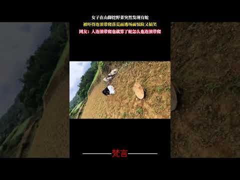 女子在山腳挖野菜突然發現有蛇 被嚇得連滾帶爬落荒而逃場面驚險又搞笑 意外 萬萬沒想到 搞笑 amazing funny… サムネイル