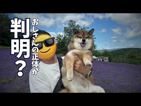 ついに柴犬の飼い主の正体判明？ サムネイル
