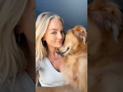 coming home to my golden retriever🥵 goldenretreiver dog ind… サムネイル